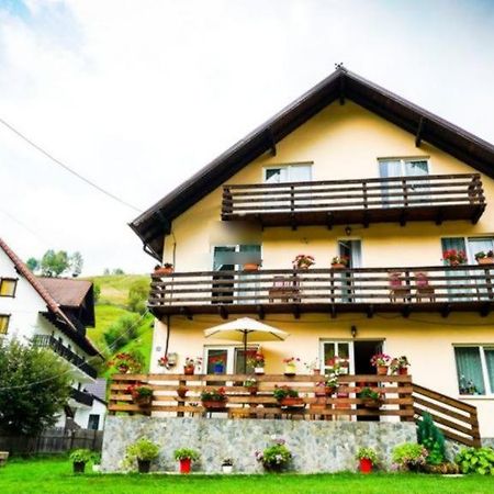 Casa Anastasia - Moieciu De Sus Felsőmoécs Kültér fotó